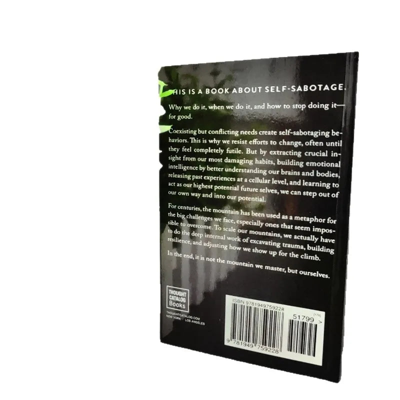 The Mountain Is You, Transforming Yourself english books english books