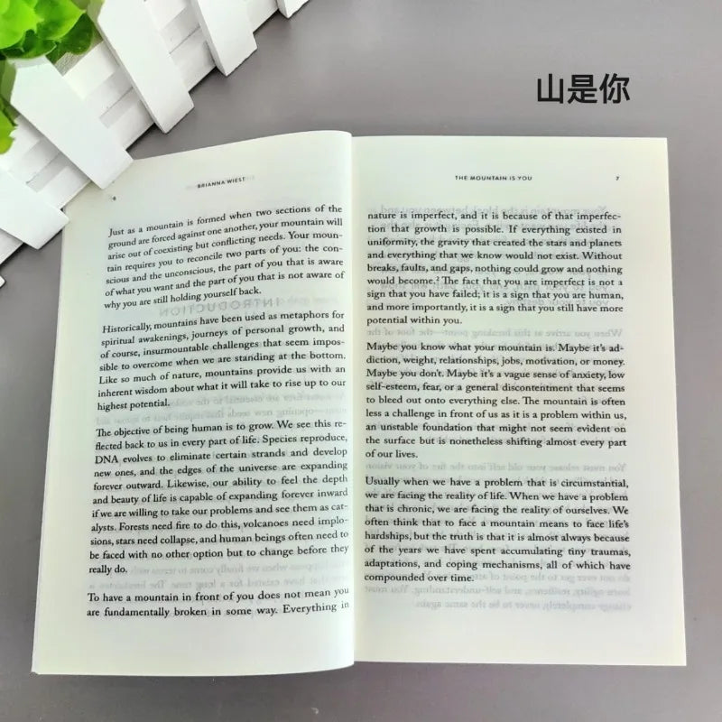 The Mountain Is You, Transforming Yourself english books english books