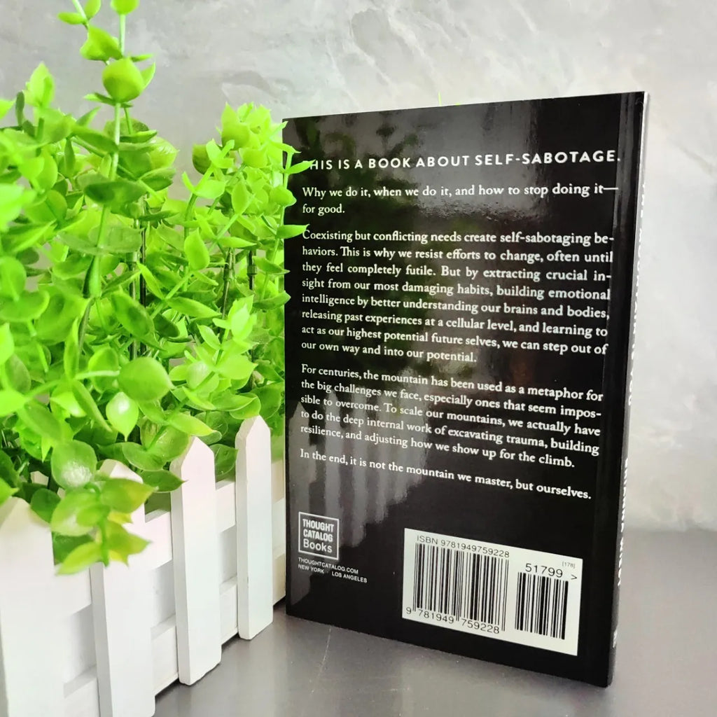The Mountain Is You, Transforming Yourself english books english books