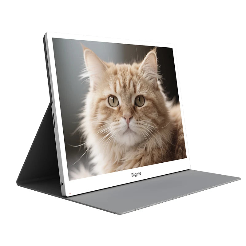 BIGME ePaper Monitor B13, 13.3'' e-ink Display, 36-level cold & warm light, HD 3K 3200*2400, support Windows, Mac, Android, iOS