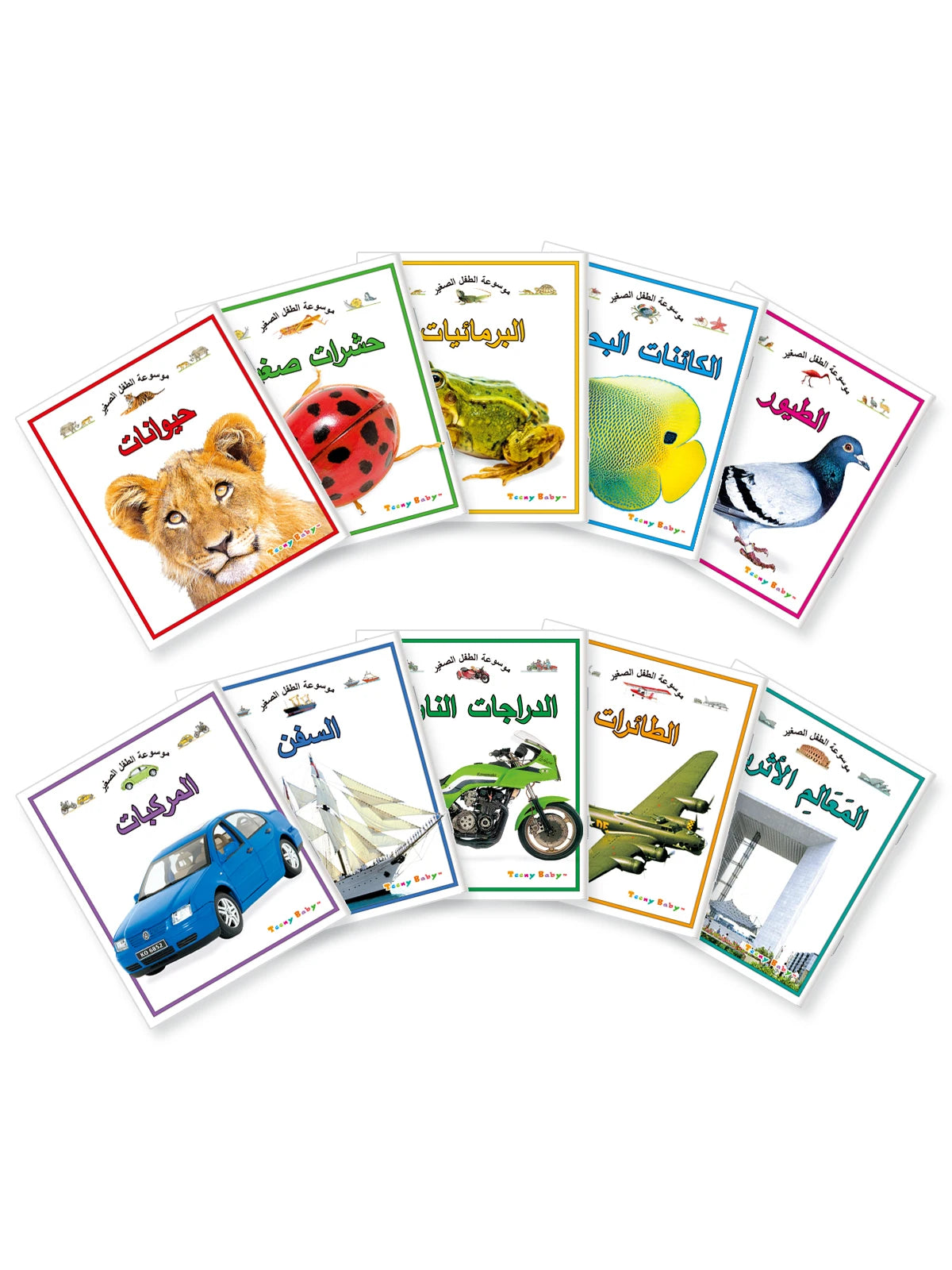 Arabic version of children's animal cognition picture book set helps babies' cognitive development