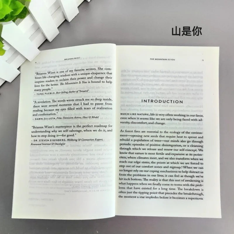 The Mountain Is You, Transforming Yourself english books english books